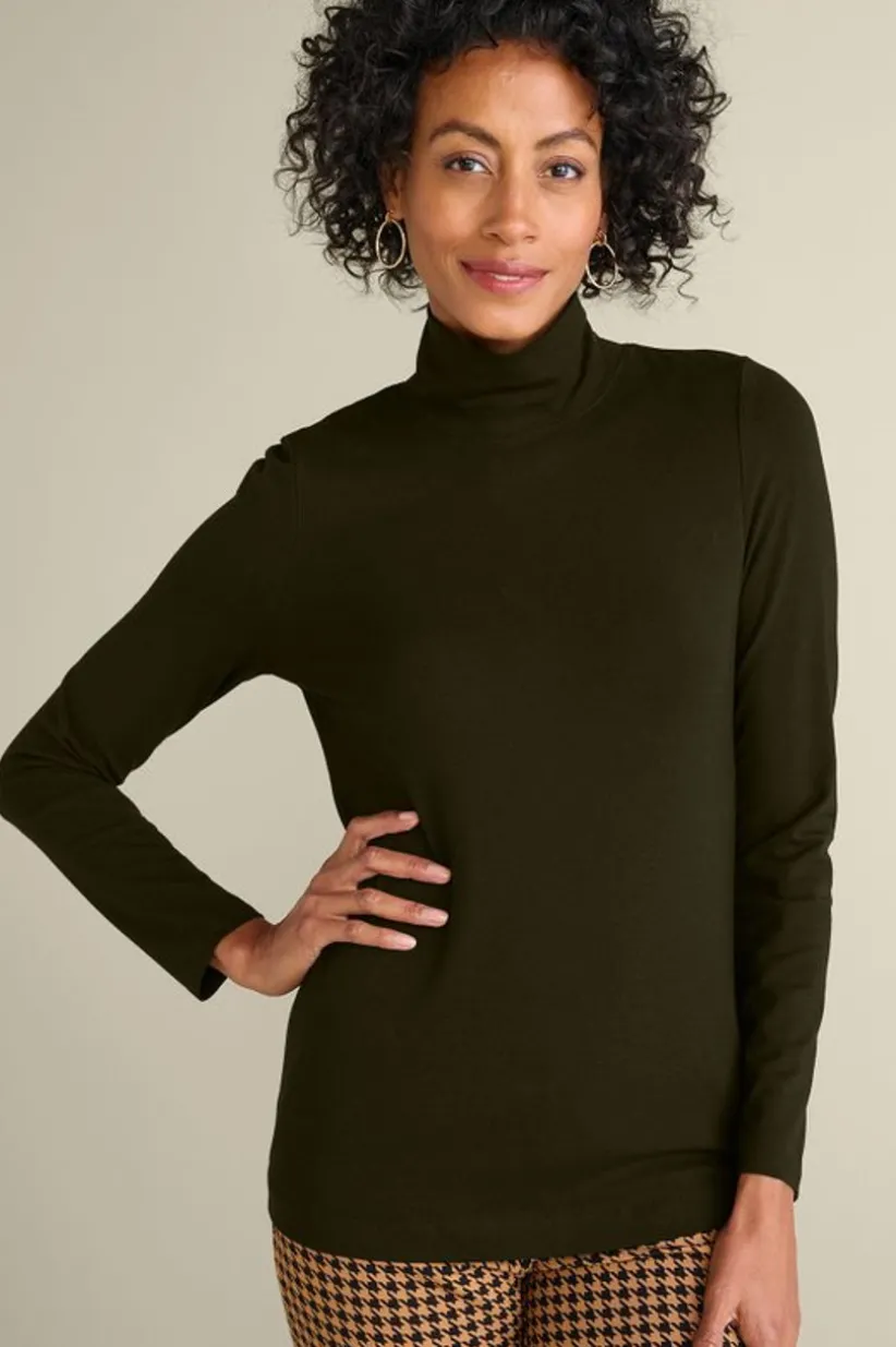 Soft Surroundings Sandie Knit Turtleneck Best